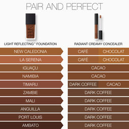 Radiant Creamy Concealer